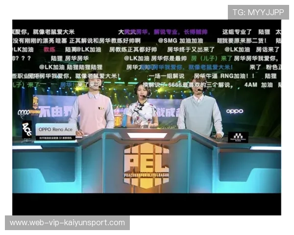 职业联赛的解说风格分析